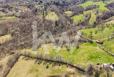 Vanzare teren intravilan 37723 mp Zarnesti Tohanita - 5