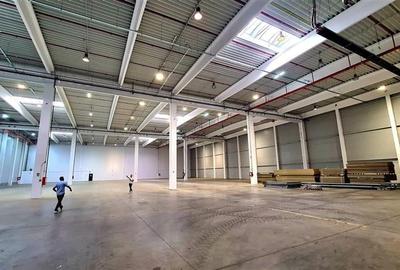 Hala industriala Timisoara, 3500 mp, Zona Lugojului - 3