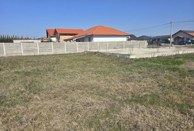 Casă cu 4 camere în Parța - 2
