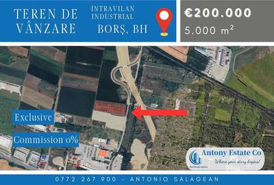 Teren Construcții intravilan de 5000 mp, în Borș