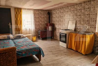 Casă cu 4 camere cu Teren 12186 Mp în Central - 13