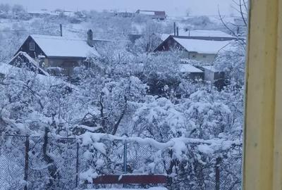 Inchiriez Casa Carbunari - 3