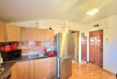 Apartament cu 2 camere nedecomandat, mobilat în Șagului - 5