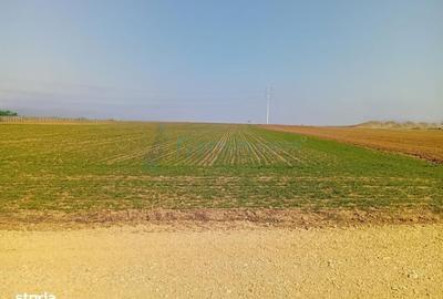 Spațiu comercial, în Biharia - 1