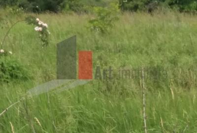 Teren Buftea cu iesire la lac - 29