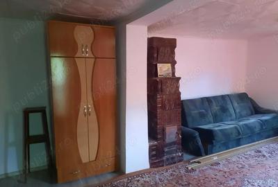 Casă cu 4 camere cu Teren 5131 Mp în Români - 2