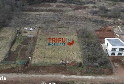 Teren de 990 mp, în Cetate - 3