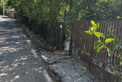 Casă cu 3 camere în Naipu - 8