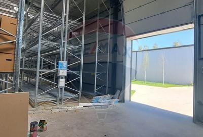 Spatiu industrial Hale 4+2 depozit logistic, birouri premium Aninoasa - 13
