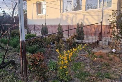 Casă cu 3 camere cu Teren 1352 Mp în Horia - 6
