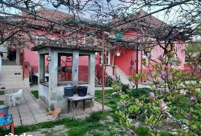 Casă cu 3 camere cu Teren 156 Mp în Bretea Română - 4