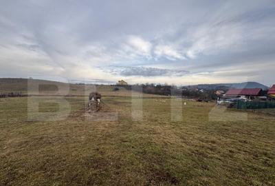 Teren Intravilan 2800 mp, zona Sieu Sfantu - 2