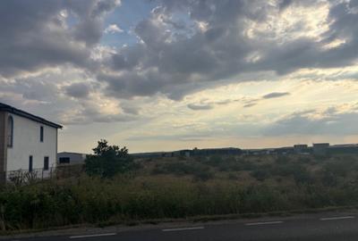 Teren extravilan, 496 mp, 16 m deschidere, Malu Mare - 1