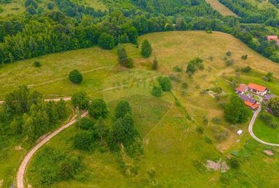 Teren Parcul National Bucegi/Str Glajarie Rau Mare/Panice... - 8
