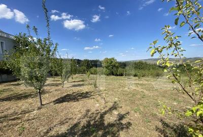 Teren intravilan in Aghires in suprafata de 1500 mp - 3