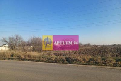 Sabareni, teren intravilan 8800 mp, pe DJ 602, pretabil... - 6