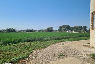 Spațiu comercial, în Prejmer - 4