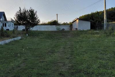 Vand casa cu 10 arii teren - 7