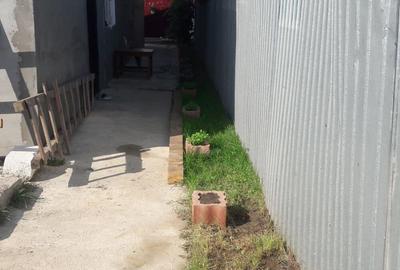 Casă cu 6 camere în Bălăceanca - 2