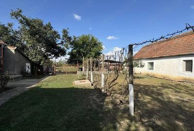 Casa de vanzare in Tisa Noua, teren generos - 17