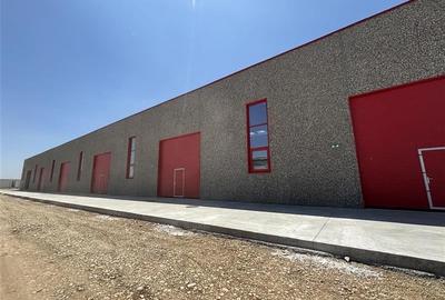 Spațiu industrial, 900 mp în Exterior Vest
