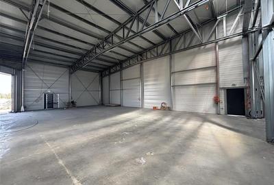 Inchiriere depozit/hala/spatiu industrial Mogosoaia - Buftea - 5