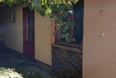 Casă individuală cu 5 camere cu Teren 250 Mp în Vest - 9