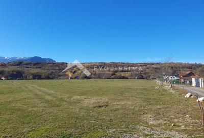 Teren Construcții intravilan de 10600 mp, în Bran - 3