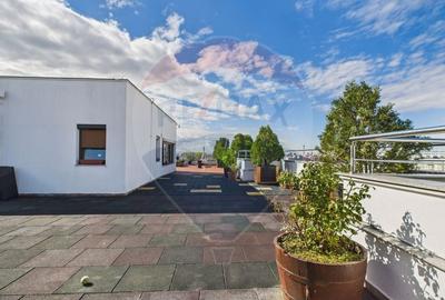 PENTHOUSE spectaculos cu terasa 300 mp - 25