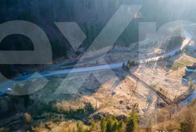 Teren de 12192 mp, în Colibița