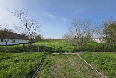 Teren de 5528 mp, în Sânmartinu Maghiar - 5