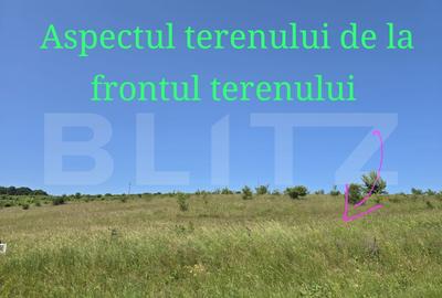 Teren intravilan construibil  in Salicea - 2