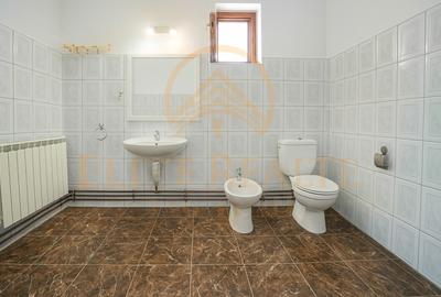 Vila premium ultracentrala, fara vecini, teren 377 mp, garaj! - 14