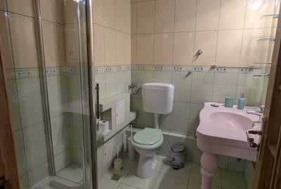 De Inchiriat: Apartament 4 Camere, Complet Mobilat zona Costin Georgian 660 - 9