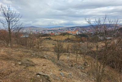 Teren de 24381 mp, în Central - 10