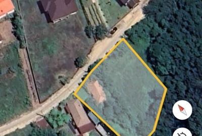 Spațiu comercial, în Falcău - 6