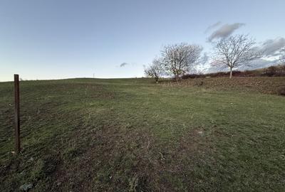 Teren Intravilan cu panorama in Borhanci Str Colonia Sopor 1000mp+85mp cota drum - 3