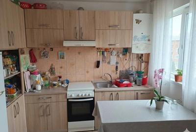 Apartament cu 2 Camere Zona George Enescu - 3