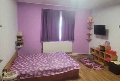 Vand casa pentru locuit si relaxare - 10