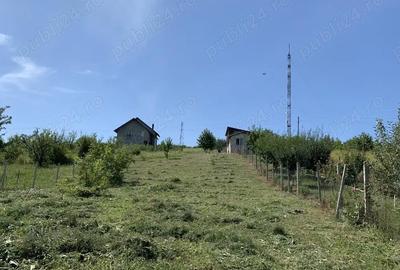 Spațiu comercial, în Central - 9