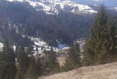 Teren de 3876 mp, în Gârda de Sus - 6