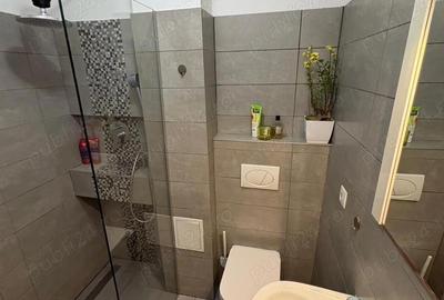 Apartament cu 3 camere semidecomandat în Șelimbăr - 10