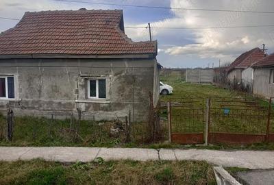 Teren de 42 mp, în Ciuperceni - 4