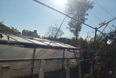 Vind casa Vind casa - 3