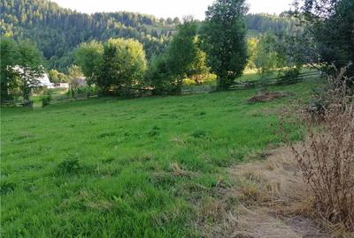 Casă cu 1 camere în Fericet - 6