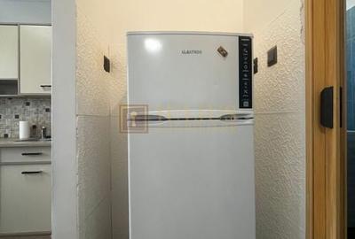 Aproape de UMFT, o camera, pet-friendly. - 4