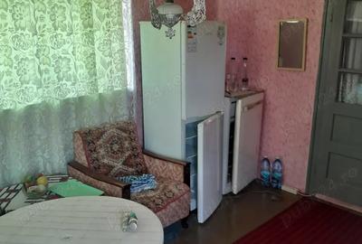 Vand casa localitatea Mi?ca - 7