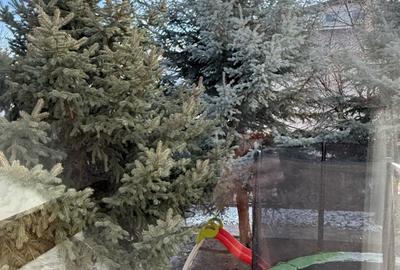 Apartament cu 2 camere decomandat în Valea Lupului - 4