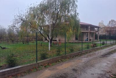 Inchiriez Vila 5 camere in Padurea Snagov, Silistea Snagovului - 1