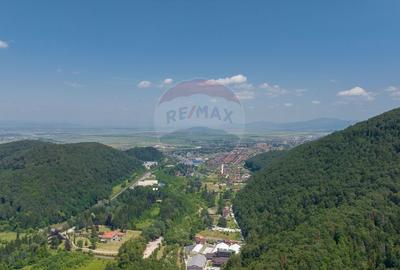 Teren Construcții intravilan de 3500 mp, în Dâmbul Morii - 11